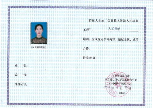 人工智能技术服务 赋能现代产业变革的关键引擎