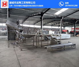 龙翔工贸机械五香鹌鹑蛋定心蒸煮流水线 报价、高清图片与技术服务详解